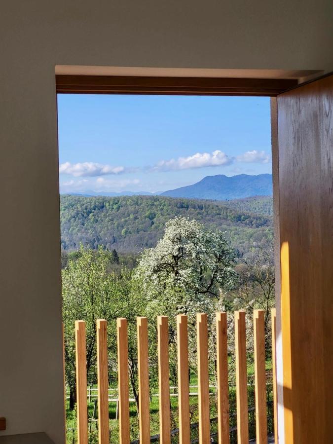 Guest House Domacija Krnc Hrib pri Hinjah Buitenkant foto