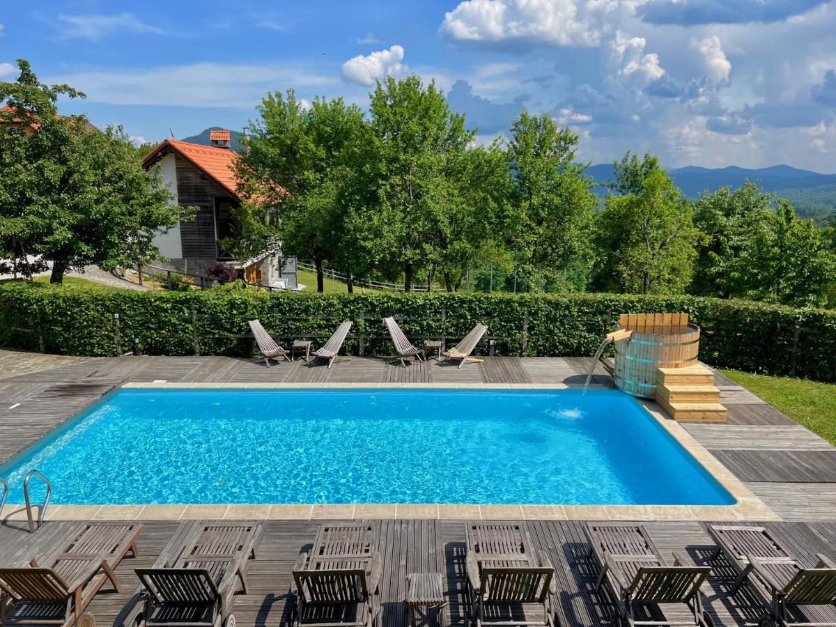 Guest House Domacija Krnc Hrib pri Hinjah Buitenkant foto